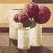 Rose Lancome by Karsten Kirchner Fine Art Print / Poster 27.50 x 27.50 in. Image