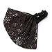 Elegant Women Black Bandanas Lace Headwrap Headband Girls' Hair Accessory Gift (Coffee)