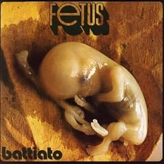 Fetus