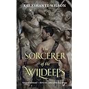 The Sorcerer of the Wildeeps