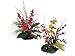 24Hx21Wx12L Tropical Mix Asst in Ceramic Container Assorted