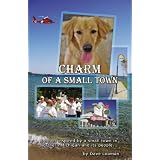 Charm of a Small Town