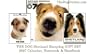 THE DOG Artlist - Shetland Sheepdog Gift Set - 2007 Calendar, Notecards and Handbook