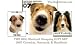   - THE DOG Artlist - Shetland Sheepdog Gift Set - 2007 Calendar, Notecards and Handbook