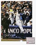 David Wright New York Mets MLB Autographed Dive into Stands 16 x 20 Photograph (Unframed)