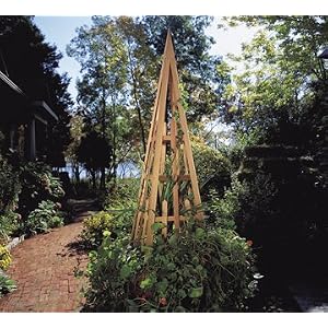 69 Garden Accents Natural Cedar Outdoor Wooden Obelisk by 