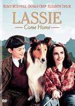 名犬ラッシー/家路 [DVD]
