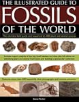 The Illustrated Guide to the Fossils...