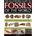 An Illustrated Guide to the Fossils of the World: A full-color directory and... by Steve Parker