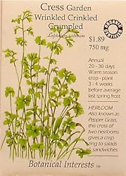 Garden Cress Certified Organic Heirloom Seeds 200 Seeds