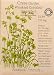 Garden Cress Certified Organic Heirloom Seeds 200 Seeds