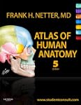 Atlas of Human Anatomy (Netter Basic...