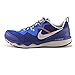 Nike Men's Flex Experience Rn 3 Running Shoe