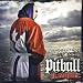 Pitbull  Fuego