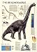 The Brachiosaurus Poster(#26)