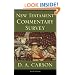 New Testament Commentary Survey