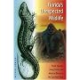 Florida's Unexpected Wildlife: Exotic Species, Living Fossils, and Mythical Beasts in the Sunshine State