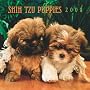 Shih Tzu Puppies 2009 Square Wall Calendar