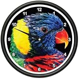 RAINBOW LORIKEET ~Wall Clock~ birds parakeet lorie gift