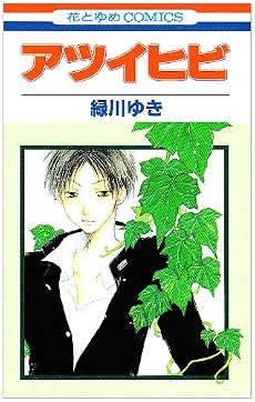 アツイヒビ (花とゆめCOMICS)