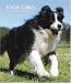 Border Collies 2010 Hardcover Weekly Engagement