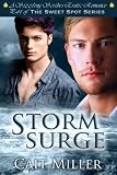 Storm Surge (The Sweet Spot Series)