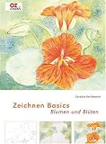 Zeichnen Basics - Blumen und Bl�ten - Cordula Kerlikowski
