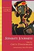 Separate Journeys: Short Stories by Contemporary Indian Women