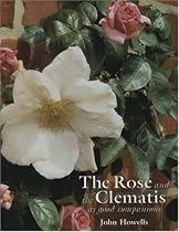 Rose and the Clematis
