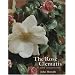 The Rose and the Clematis: As Good Companions