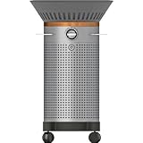 Fuego EG02AMG Element 21-Inch Dual-Zone Gas Grill - Dark Gray