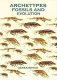 Archetypes, fossils and evolution