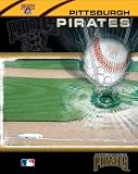 Pittsburgh Pirates Team Portfolio
