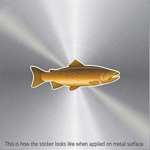 Hobby Decal Brown Trout Permanent Sailboat Speciality Lasting Skate Action (6 X 2.20 In)