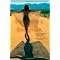 EXPERIENCE AND ENJOY SOME EXCITING SUMMER READS!