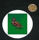 3" button / pin printed with sea, duck, bird, animal