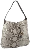 Lauren Merkin Astrid Shiny Python