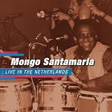 Live In The Netherlands