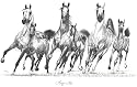 "Fancy Free" Original Drawing by Shivak
