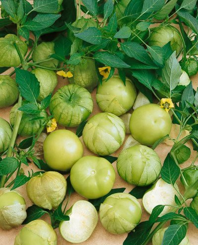 Grande Rio Verde Tomatillo Seeds - Lycopersicon Esculentum - 1 Grams - Approx 350 Gardening Seeds - Vegetable Garden Seed
