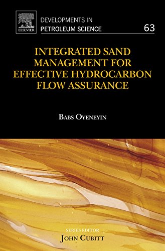 Integrated Sand Management For Effective Hydrocarbon Flow Assurance (Developments in Petroleum Science)