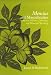 Book Mencius and Masculinities: Dynamics of Power, Morality, and Maternal Thinking (S U N Y Series in Ancient Greek Philosophy)
