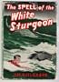 The spell of the White Sturgeon