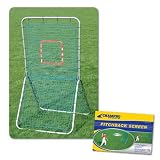 Champro Deluxe Pitchback Screen - 72 in. x 42 in.