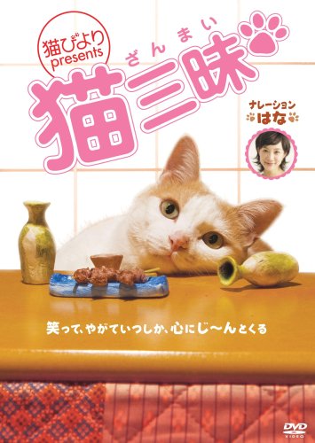“猫びより”presents 猫三昧 [DVD]