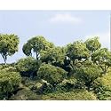 Hardwood Forest Kit, 2-4"