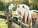 Sunsout Just Visiting 500 Piece Jigsaw Puzzle