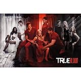 True Blood - True Colors Poster Poster Print, 36x24