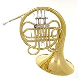 The JinYin E110G Single French Horn