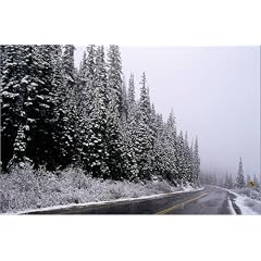 Poster 60 x 40 cm - "Snowstorm on road in Colorado Rockies." von Claver Carroll / Lonely Planet Images - auch in anderen Gr��en und als Leinwandbild erh�ltlich